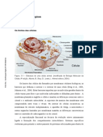 A Fluidez Da Membrana Plasmática