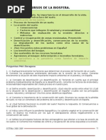 Precio inasumible de ERC en investidura | PDF | Roca Negra | España