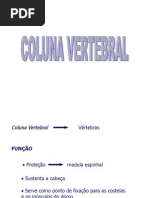 Colunavertebral Mand