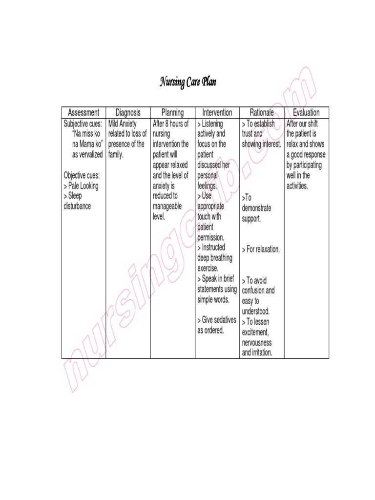 Nursing Care Plan Mild Anxiety | PDF | Career & Growth