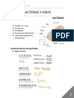 Bacterias y Virus_Resumen