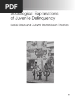 Download Sociological Explanations of Juvenile Delinquency by ajayghosh3140 SN233309150 doc pdf