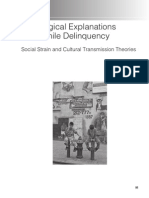 Sociological Explanations of Juvenile Delinquency