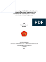 Analisis Cemaran Logam Pb Dan Cd Pada Udang Jerbung Di TPI Lempasing Bandar Lampung secara Spektrofotometri Serapan Atom (Triasih Hardiyanti))