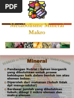 Download Metabolisme Mineral Makro by Muhammad Ogin Hasanuddin SN233313074 doc pdf