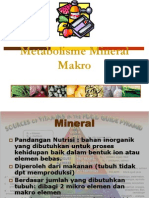 Metabolisme Mineral Makro