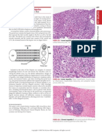 Atlas of Liver Biopsies: Jules L. Dienstag, Atul K. Bhan