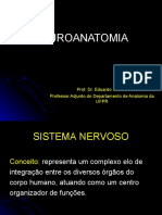 ER Neuroanatomia
