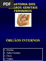 Download ER Urogenital by api-19809677 SN23333847 doc pdf