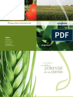 Syngenta en Argentina.pdf