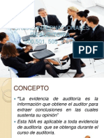 Evidencia de Auditoria 500, 501, 505 y 510