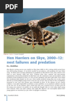 Download Hen Harriers nest failures  predation on Skye From Scottish Birds magazine Feb 14 by rob yorke SN233369217 doc pdf