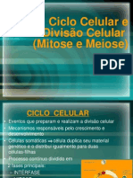 Aula 11 mitose e meiose