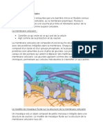 1-4 Membrane Cellulaire