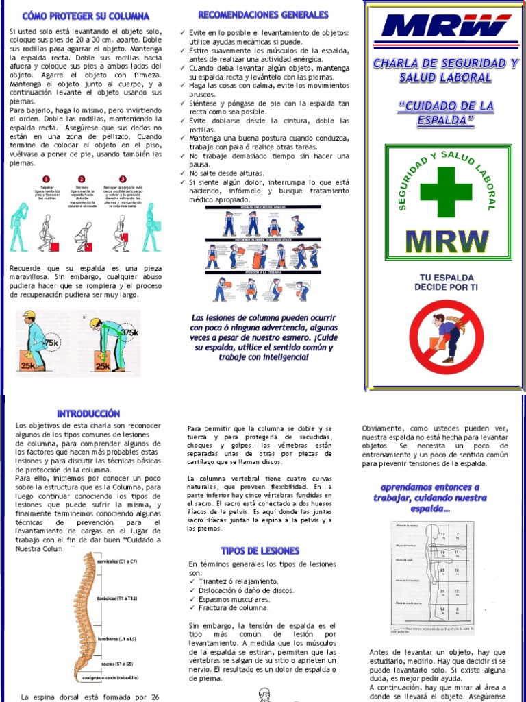 Triptico Cuidado de La Espalda | La columna vertebral | Vértebra