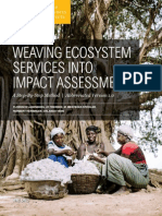 Ecosystem Services Into Impacts Assessment