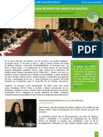 boletin - 3ra reunion GDMDS 2010.pdf