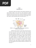 Download Endometriosis by Nathan Marshall SN233421728 doc pdf