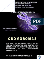 Teoria Cromosomica