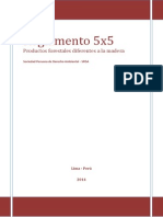 Reglamento 5x5 Documento Final PFDM