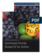 Northeast Florida Blueprint for Action