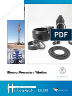 Blowout Preventer Wireline