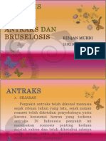 Zoonosis Kausa Bakteri Antraks Dan Bruselosis