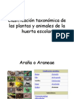 Clasificación Taxonómica de Las Plantas y Animales de