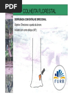 derrubada_manual.pdf