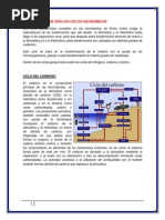 ciclos geoquimicos