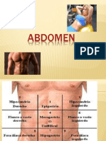 Anatomia de Abdomen