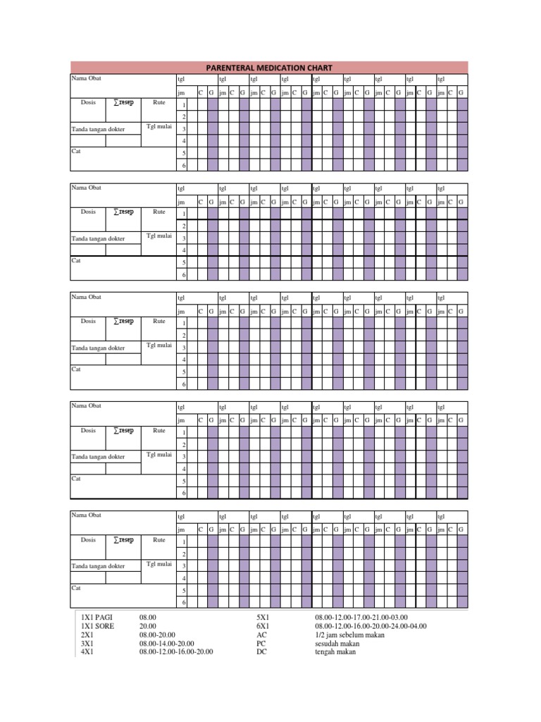 Medication Chart | PDF