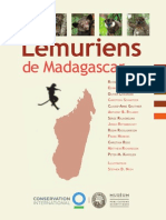 Lemurien Madagascar