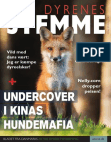 Dyrenes Stemme Vinter 2013 - Free download as PDF File (.pdf), Text File (.txt) or read online for free.