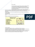 Documento