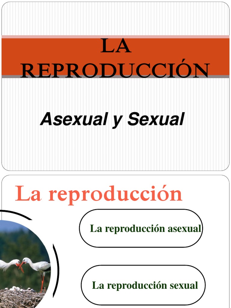Reproducción Asexual y Sexual en Especies | PDF | Reproducción | Sexo