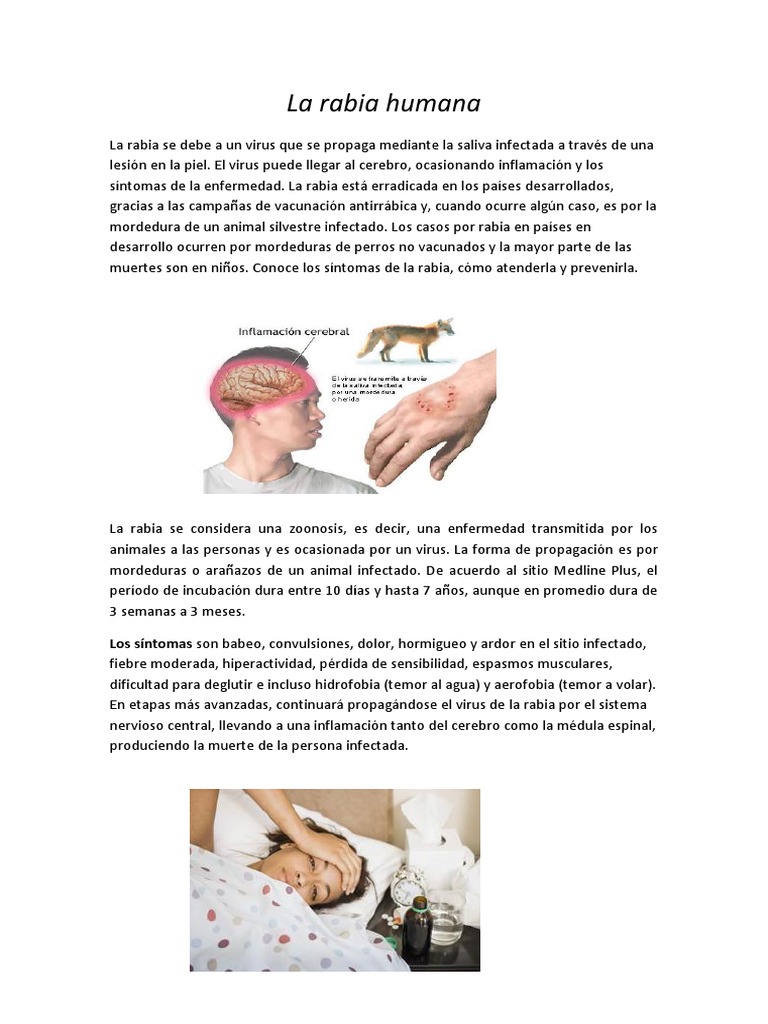 La Rabia Humana | PDF | Rabia | Virología
