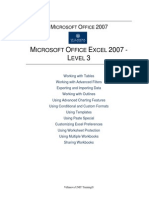 Excel 2007-Level 3