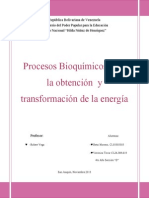 Procesos Bioquímicos para La Obtención y Transformación de La Energía