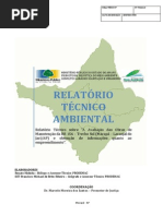 Relatório Técnico_Situação Da BR-156 Trecho Sul