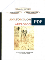 Anatomia Omului Arteologia