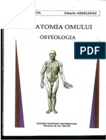 Anatomia Onului Oteologie