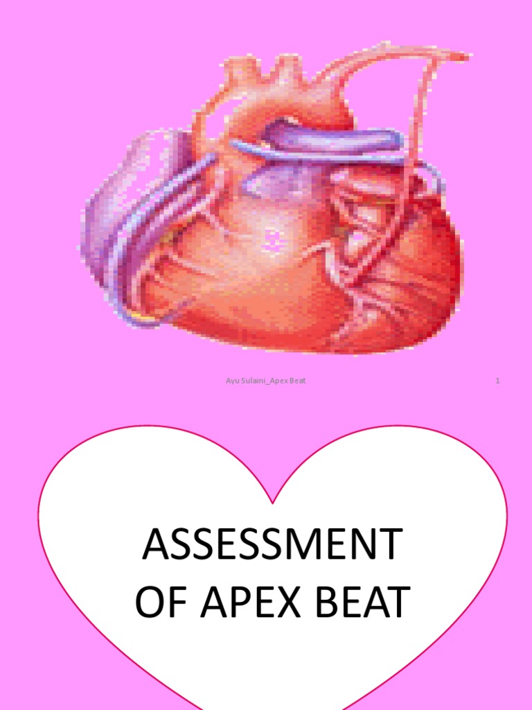 apex beat Heart Rate Heart
