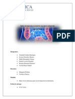 Informe Final