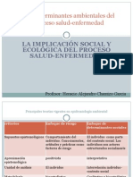 Los Determinantes Ambientales, 2009