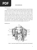 Download Endometriosis by olly SN23352341 doc pdf