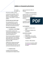 La Déforestation en Amazonie Péruvienne