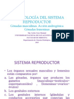 Fisiologia Del Sistema Reproductor