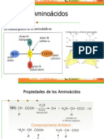 Aminocidos y Protenas