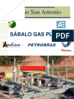 Endulzamiento Del Gas